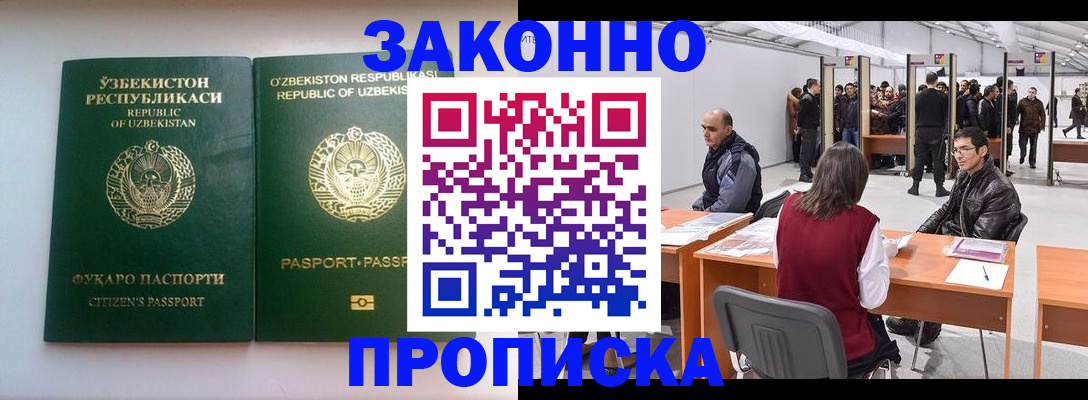 временная регистрация поиск в Барыше